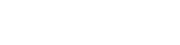 cleanforce logo
