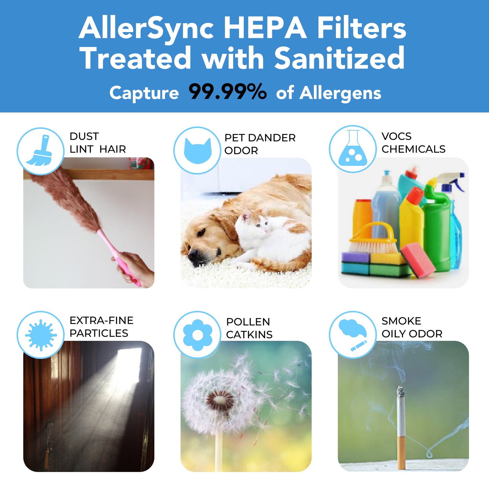 CleanForce AllerSync MaxPure H13 Ture HEPA Air Filter for Rainbow Series, Sanitized® treated, removes Dust, Somke, Allergens, Pollen, Pet Hair Dander and Odors