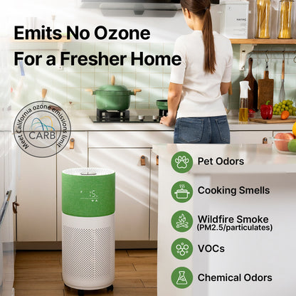CleanForce HEPA Air Purifier for Home, Covers up to 2250 sq ft, Quiet Operation, Works with Alexa, Voice Control, Rainbow Gray