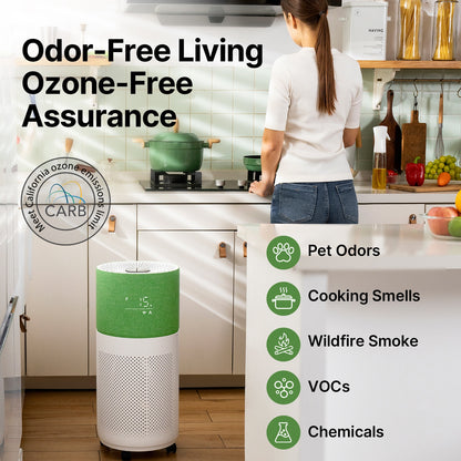 CleanForce HEPA Air Purifiers for Home Large Room Up to 2550 ft², CERTIFIED asthma & allergy friendly®, Works with Alexa | Rainbow Gray